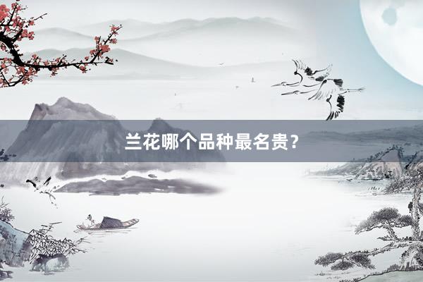 兰花哪个品种最名贵?