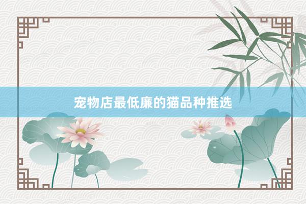 宠物店最低廉的猫品种推选