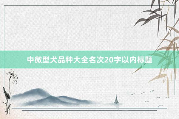 中微型犬品种大全名次20字以内标题