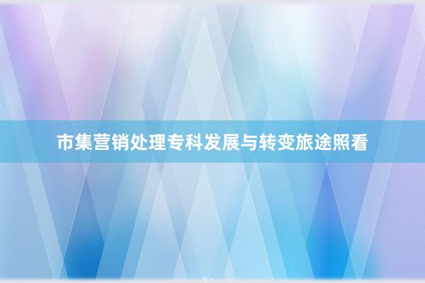 市集营销处理专科发展与转变旅途照看